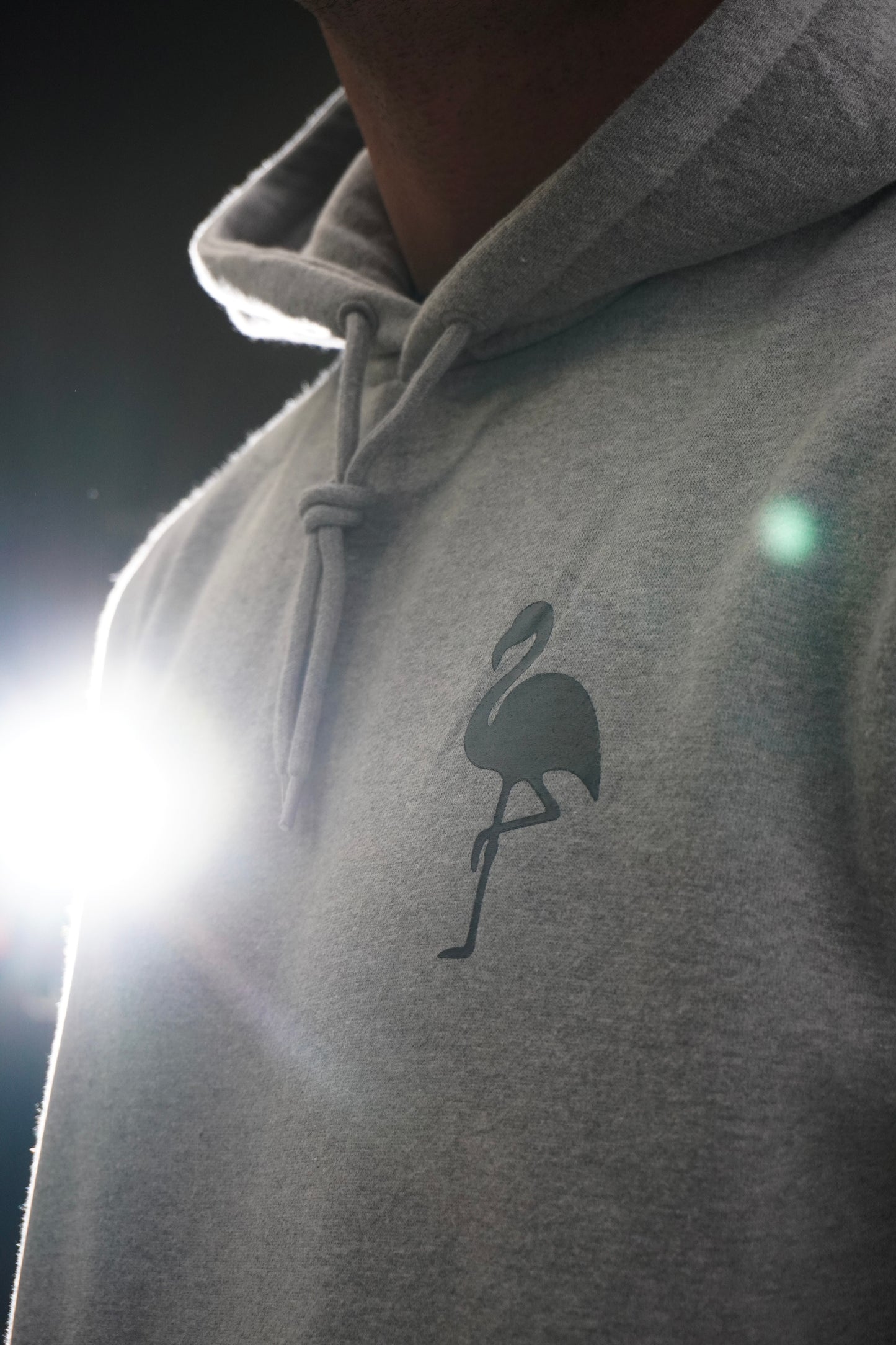 Mens Flamingo Hoodie