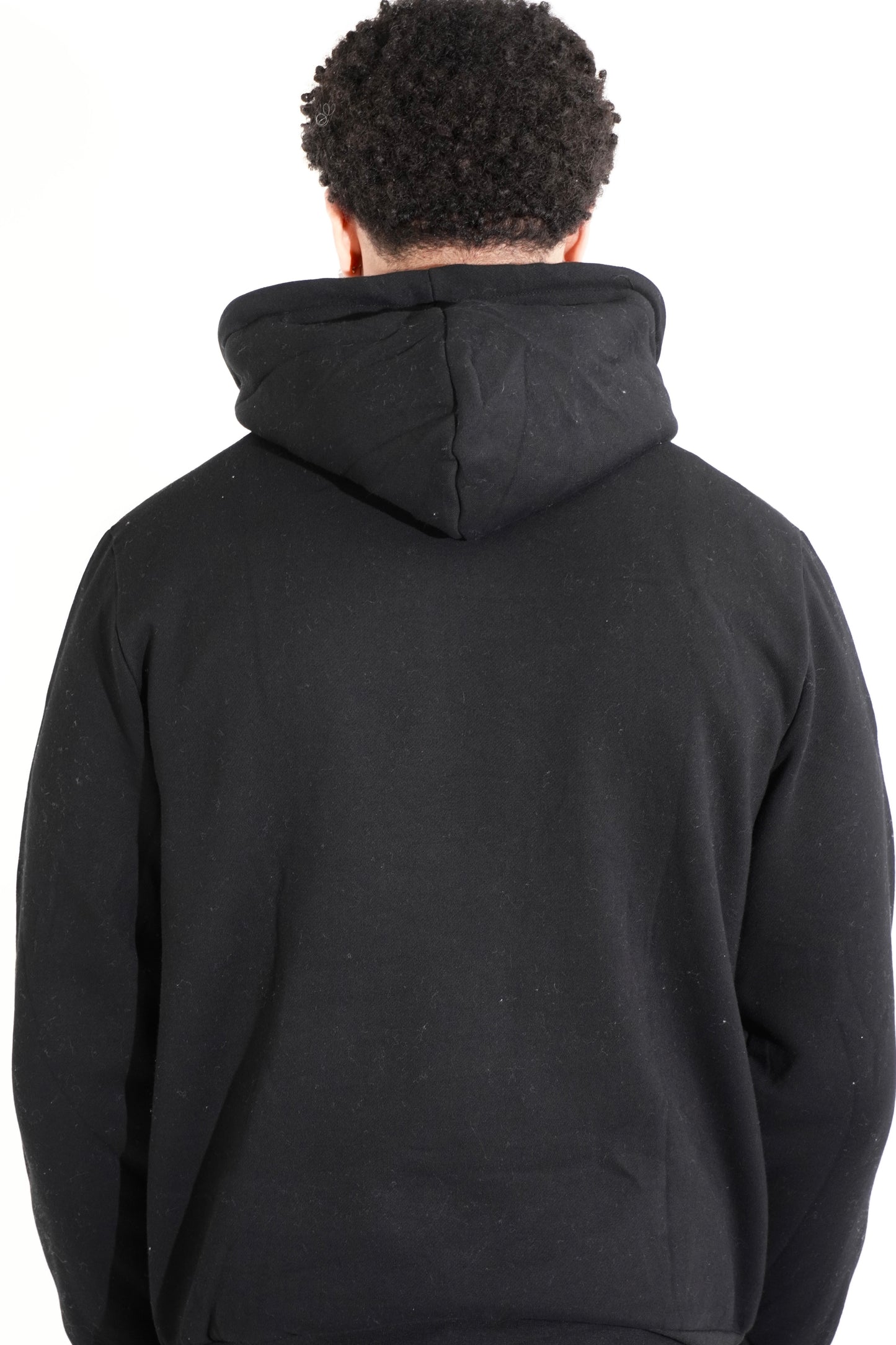 Men's Flamingo Hoodie