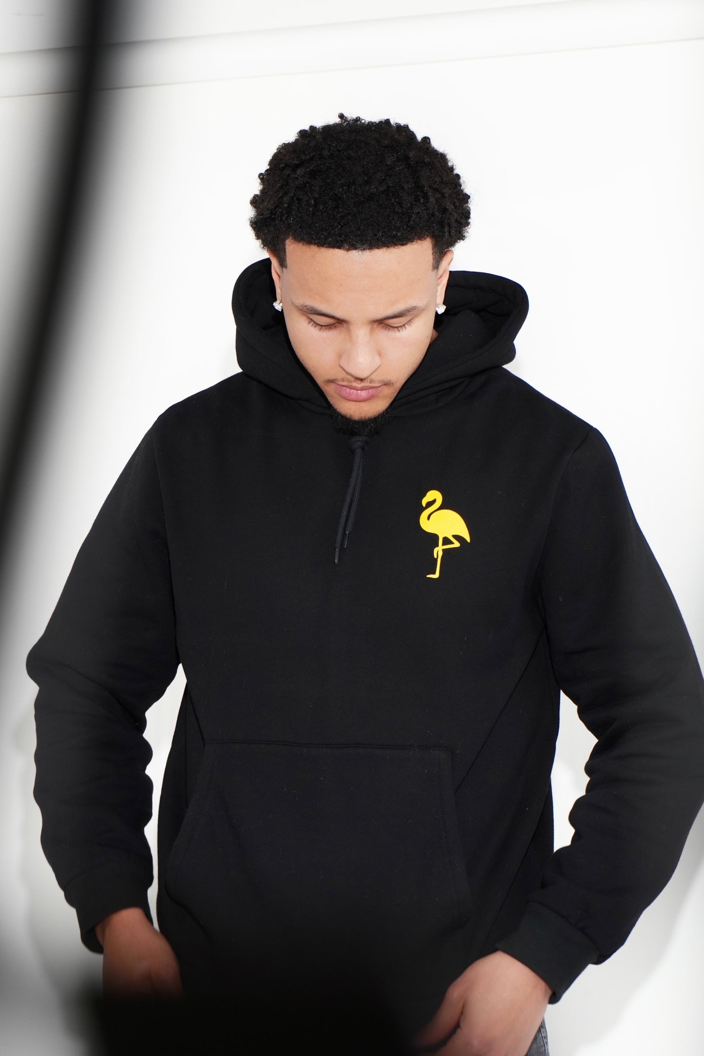 Men's Flamingo Hoodie