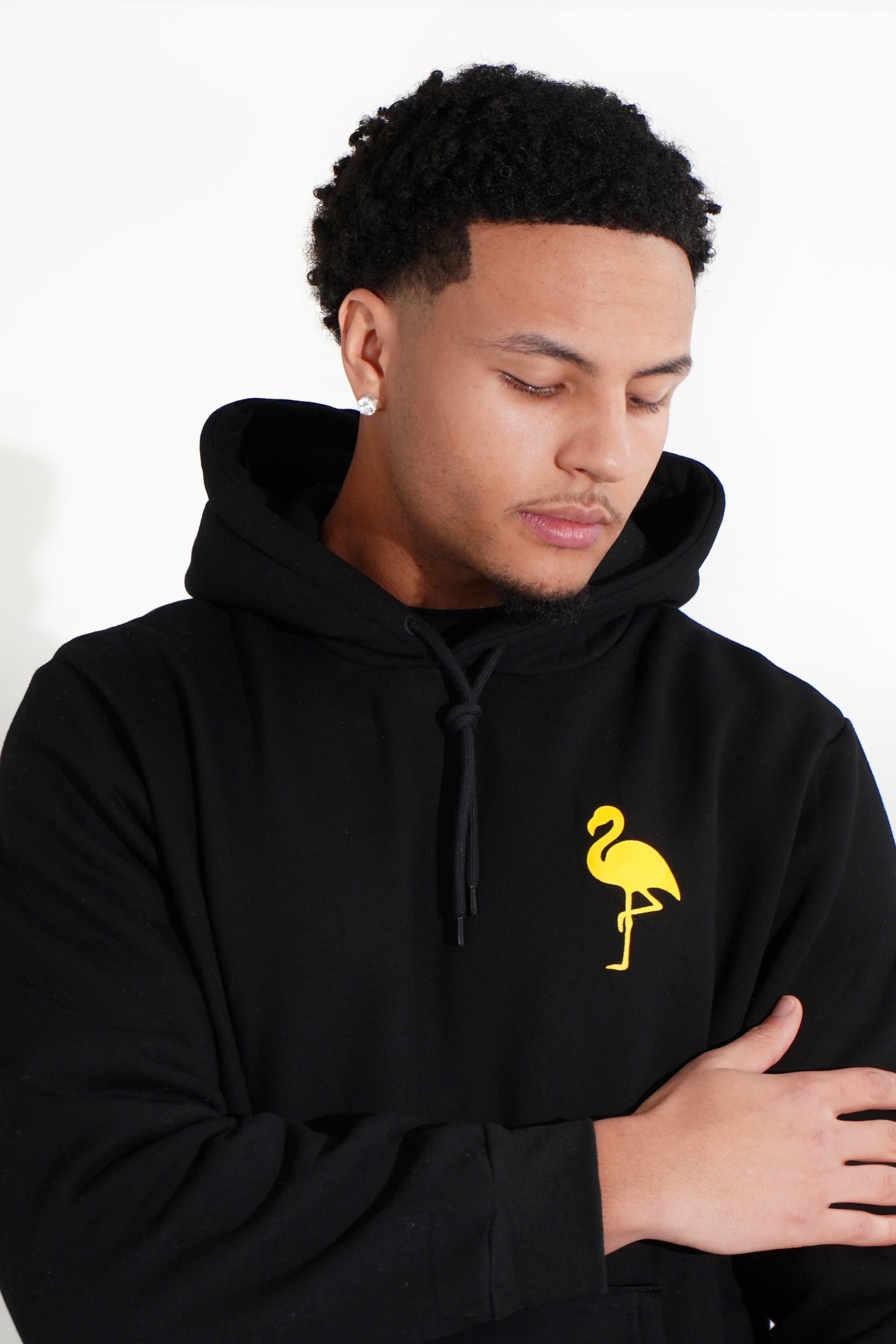Men's Flamingo Hoodie